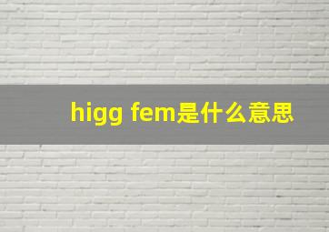 higg fem是什么意思